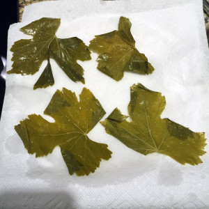 Lay out grape leaves